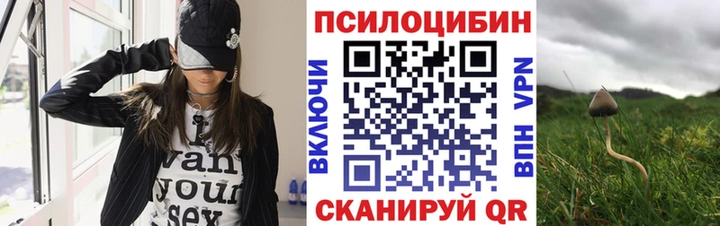 Псилоцибиновые грибы Psilocybine cubensis  Ишимбай 